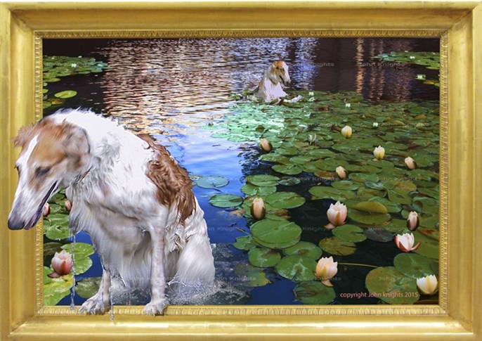 Monet's dogs